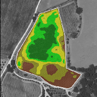 map1